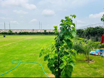 Property for sale in Bandhwari, Gurgaon
