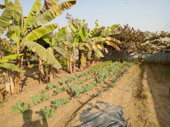 20 Bigha Agricultural/Farm Land for Sale in Kaman, Bharatpur