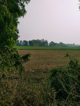 Property for sale in Kaman, Bharatpur