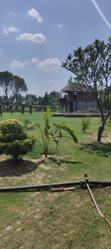 10 Bigha Agricultural/Farm Land for Sale in Pahari, Bharatpur
