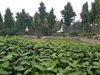 1 Acre Agricultural/Farm Land for Sale in Sohna Road, Faridabad