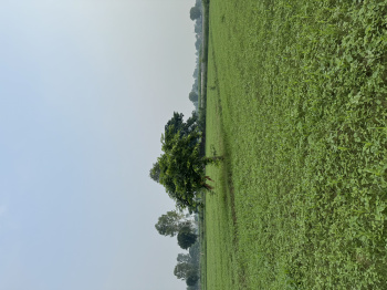 2 Acre Agricultural/Farm Land for Sale in Sohna, Gurgaon