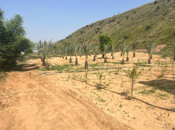 10 Bigha Agricultural/Farm Land for Sale in Alwar