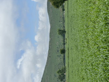 Property for sale in Ramgarh, Alwar