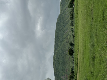 Property for sale in Ramgarh, Alwar