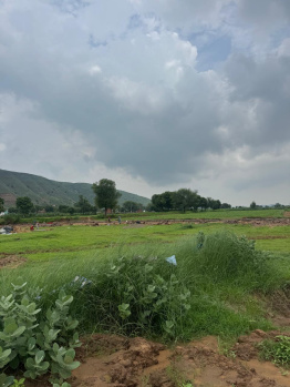 10 Bigha Agricultural/Farm Land for Sale in Naugaon, Alwar