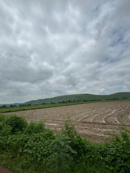 Agricultural/Farm Land for Sale in Naugaon, Alwar (12 Bigha)