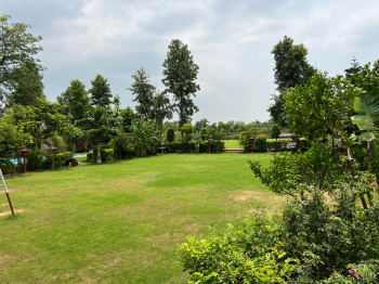 Agricultural/Farm Land for Sale in Sohna Palwal Road, Gurgaon (2 Acre)