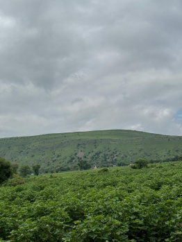 Agricultural/Farm Land for Sale in Burja, Alwar (20 Bigha)