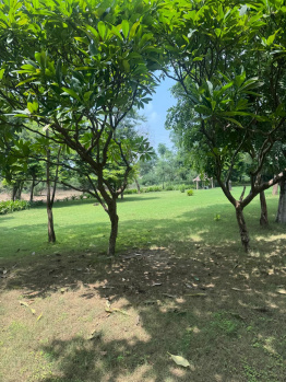 Agricultural/Farm Land for Sale in Sohna, Gurgaon (1 Acre)