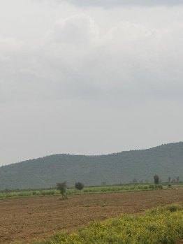 Agricultural/Farm Land for Sale in Naugaon, Alwar (30 Bigha)