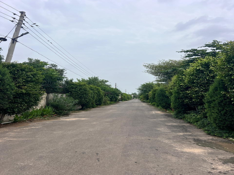 Agricultural/Farm Land for Sale in Sohna, Gurgaon