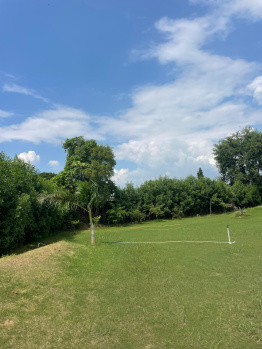 Agricultural/Farm Land for Sale in Sohna, Gurgaon (2420 Sq. Yards)