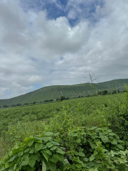 Agricultural/Farm Land for Sale in Naugaon, Alwar (25 Bigha)