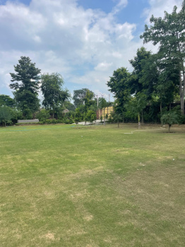 Agricultural/Farm Land for Sale in Sohna, Gurgaon (2420 Sq. Yards)