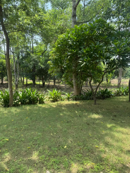 Agricultural/Farm Land for Sale in Sohna Road, Faridabad (1 Acre)