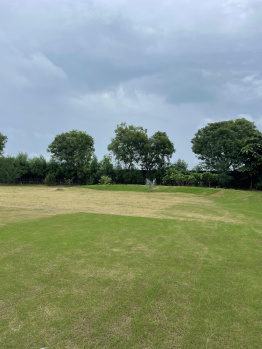 Agricultural/Farm Land for Sale in Sohna Palwal Road, Gurgaon (2420 Sq. Yards)