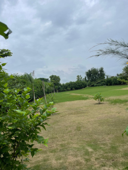 Agricultural/Farm Land for Sale in Sohna Palwal Road, Gurgaon (1210 Sq. Yards)