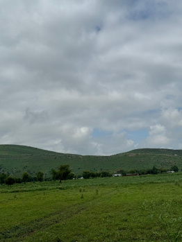 Agricultural/Farm Land for Sale in Naugaon, Alwar (25 Bigha)