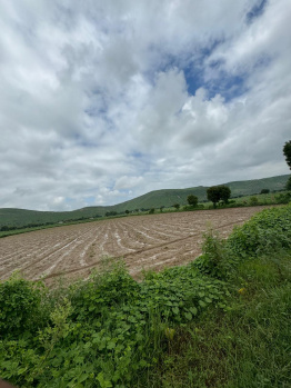 Agricultural/Farm Land for Sale in Naugaon, Alwar (10 Bigha)