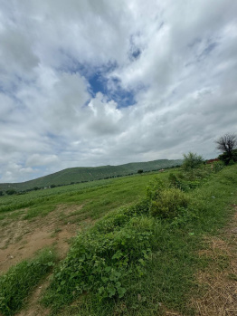 Agricultural/Farm Land for Sale in Naugaon, Alwar (15 Bigha)