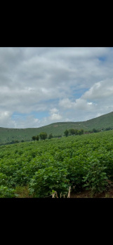 Agricultural/Farm Land for Sale in Naugaon, Alwar (15 Bigha)