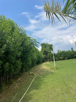 Agricultural/Farm Land for Sale in Sohna Palwal Road, Gurgaon (2420 Sq. Yards)