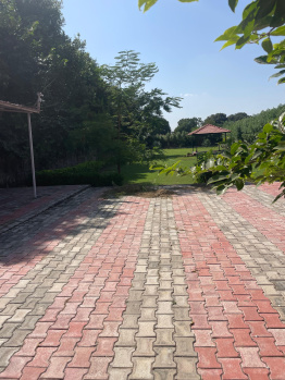 Agricultural/Farm Land for Sale in Sohna, Gurgaon (2420 Sq. Yards)