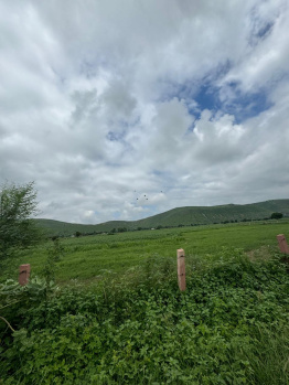 Agricultural/Farm Land for Sale in Naugaon, Alwar (6 Bigha)