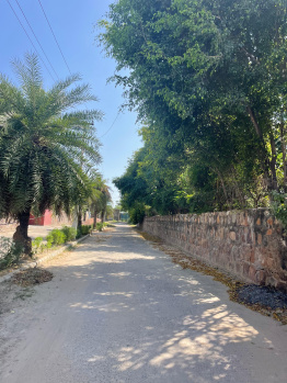 Agricultural/Farm Land for Sale in Sohna Palwal Road, Gurgaon (2500 Sq. Yards)