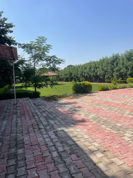 Agricultural/Farm Land for Sale in Sohna, Gurgaon (2600 Sq. Yards)