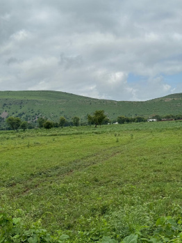 Agricultural/Farm Land for Sale in Naugaon, Alwar (8 Bigha)