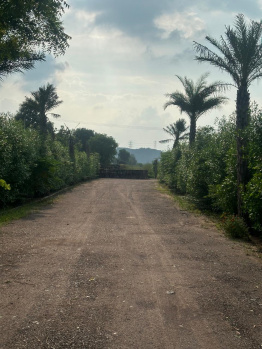 Agricultural/Farm Land for Sale in Naugaon, Alwar (50 Bigha)