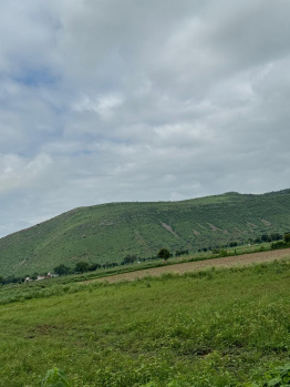 Agricultural/Farm Land for Sale in Naugaon, Alwar (13 Bigha)