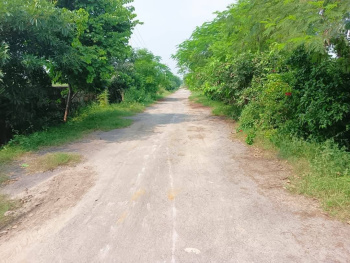 Property for sale in Deeg, Bharatpur