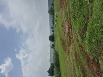 Property for sale in Deeg, Bharatpur