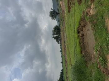 Property for sale in Deeg, Bharatpur