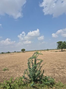 Agricultural/Farm Land for Sale in Pahari, Bharatpur (30 Bigha)