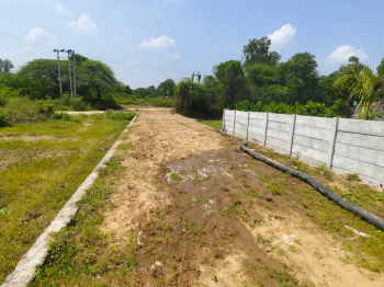 Agricultural/Farm Land for Sale in Pahari, Bharatpur (10 Bigha)