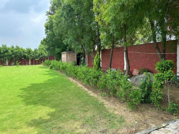 Agricultural/Farm Land for Sale in Naugaon, Alwar (20 Bigha)