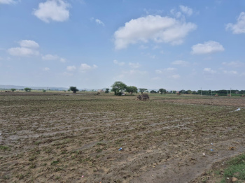 Agricultural/Farm Land for Sale in Sohna, Gurgaon (1 Acre)