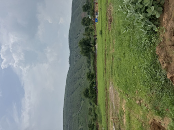 Agricultural/Farm Land for Sale in Sohna, Gurgaon (1 Acre)