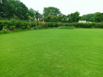 Agricultural/Farm Land for Sale in Sohna Palwal Road, Gurgaon (1 Acre)