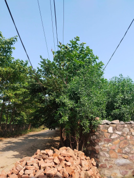 Property for sale in Ferozepur Jhirka, Nuh