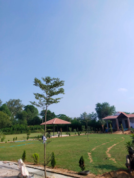 Farm House for Sale in Naugaon, Alwar (10 Bigha)