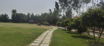 Agricultural/Farm Land for Sale in Sohna, Gurgaon (2420 Sq. Yards)