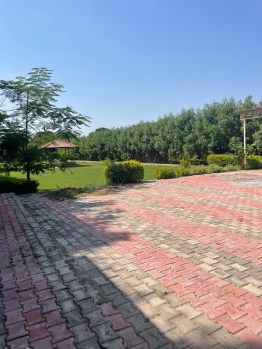 Agricultural/Farm Land for Sale in Sohna, Gurgaon (2000 Sq. Yards)