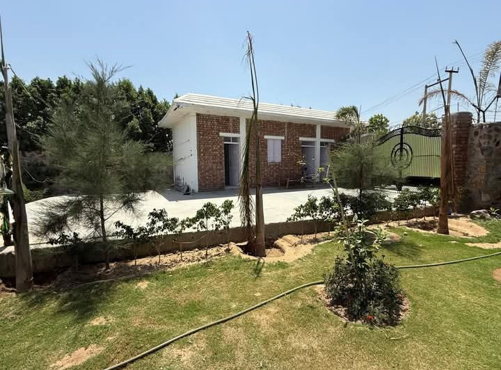 Agricultural/Farm Land for Sale in Sohna, Gurgaon