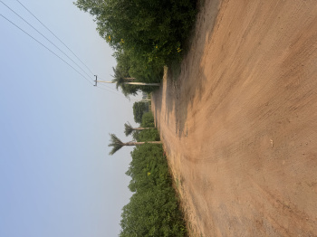 Agricultural/Farm Land for Sale in Sohna Road, Gurgaon (1 Acre)