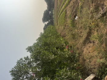 Agricultural/Farm Land for Sale in Sohna Road, Gurgaon (1 Acre)